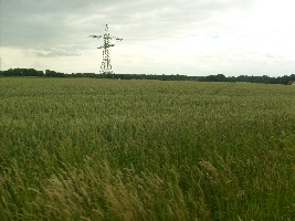 I wanted to save this kind of countryside cause it says something!